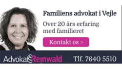 Advokat Reinwald cover