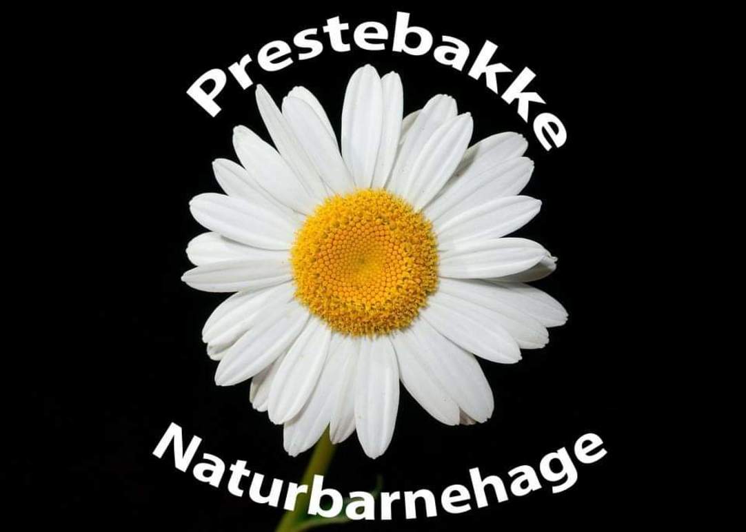 Prestebakke Naturbarnehage SA Barnehage - Privat, Halden - 3