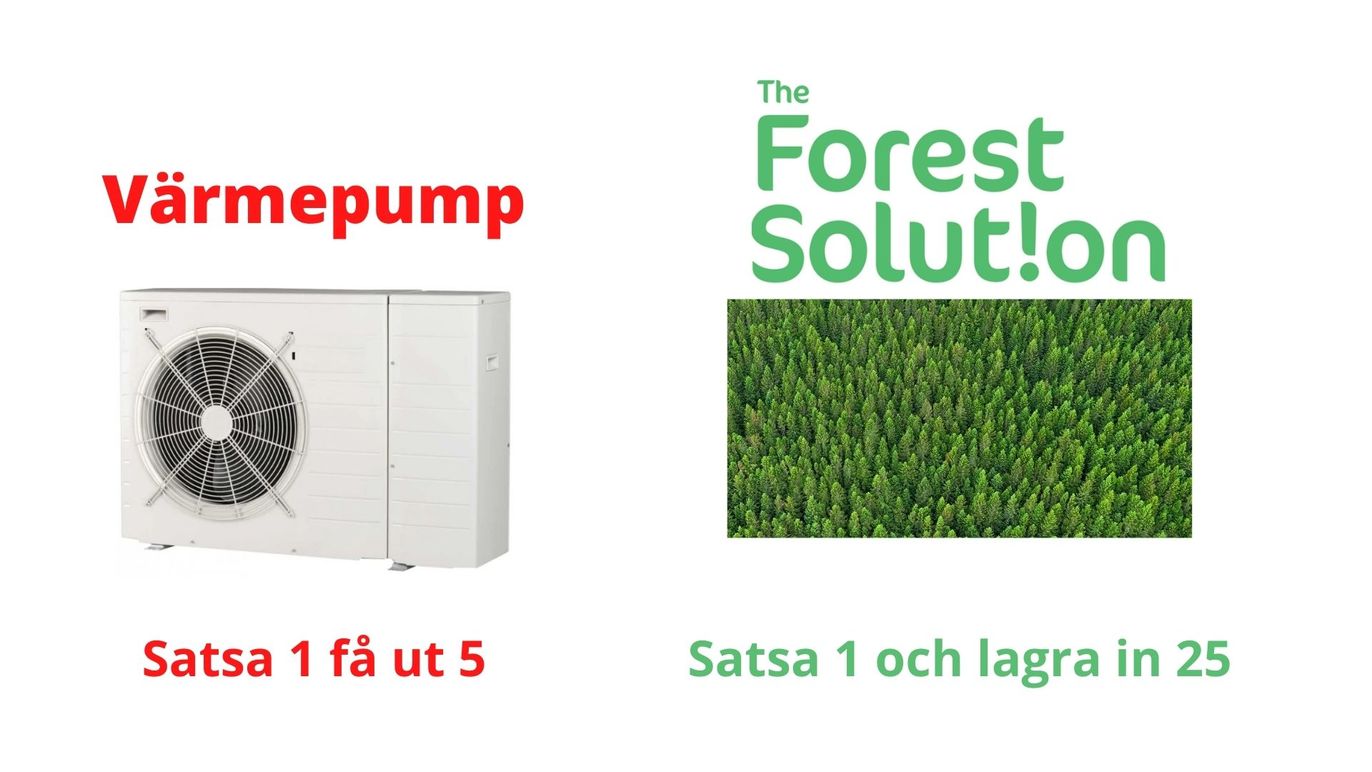 The Forest Solution Miljökonsult, Falun - 2