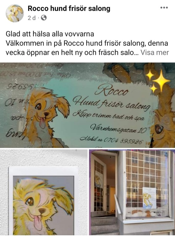 Rocco hundfrisör salong Hundvård, Malmö - 4