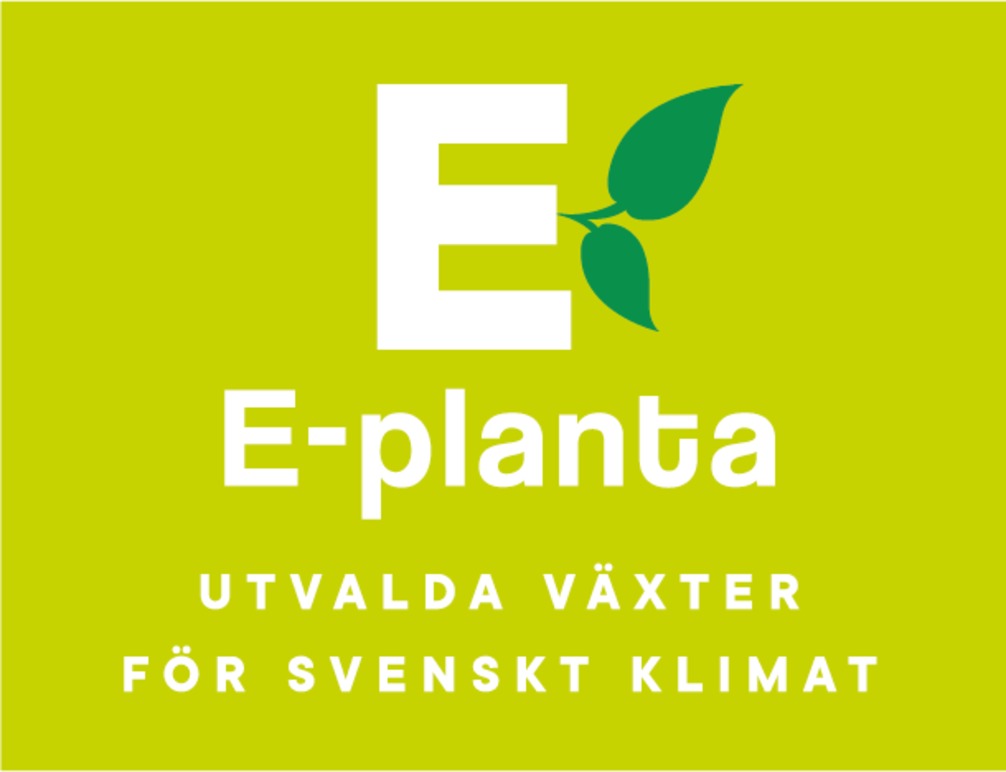 E-planta ekonomisk förening Plantskola, Handelsträdgård, Lomma - 1