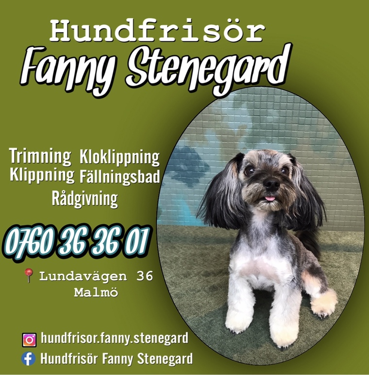 Hundfrisör Fanny Stenegard Enbart Företagssök, Malmö - 1