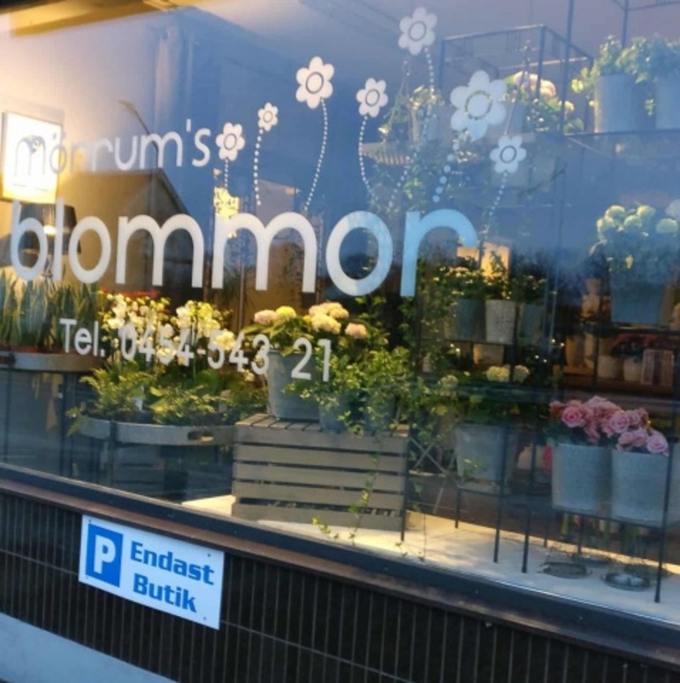 Mörrum's Blommor Blommor, Karlshamn - 5
