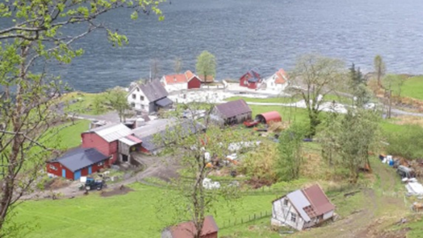 Tufto Gard, Feriehytter og Camping.  Nærøyfjorden - Aurlandsfjorden Campingplass, Aurland - 6