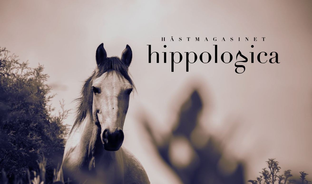 Hippologica Hästsport, utrustning, Lund - 1