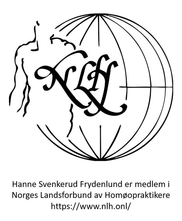 Hanne Svenkerud Frydenlund Helsetjeneste, Frogn - 4