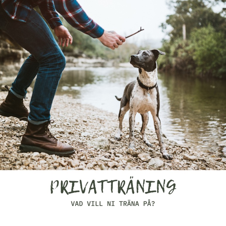 ConfidentDog - Värmland Hundsport, Karlstad - 9