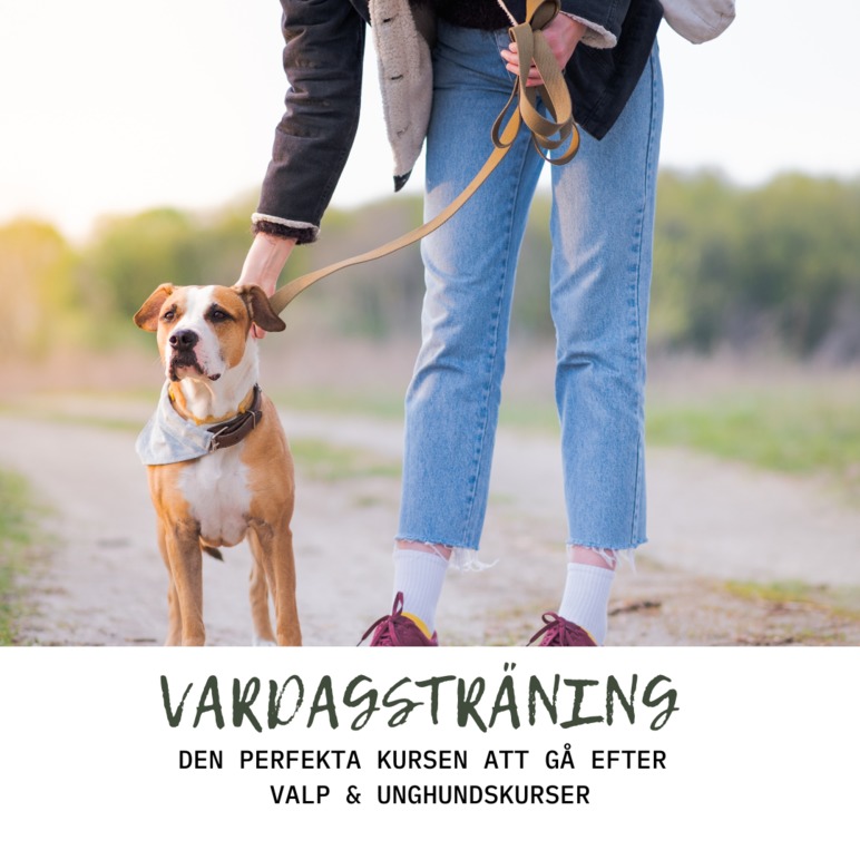 ConfidentDog - Värmland Hundsport, Karlstad - 4