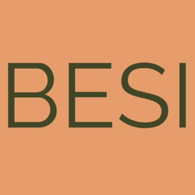 BESI Blomster Executive Search Organisationskonsult, Luleå - 2