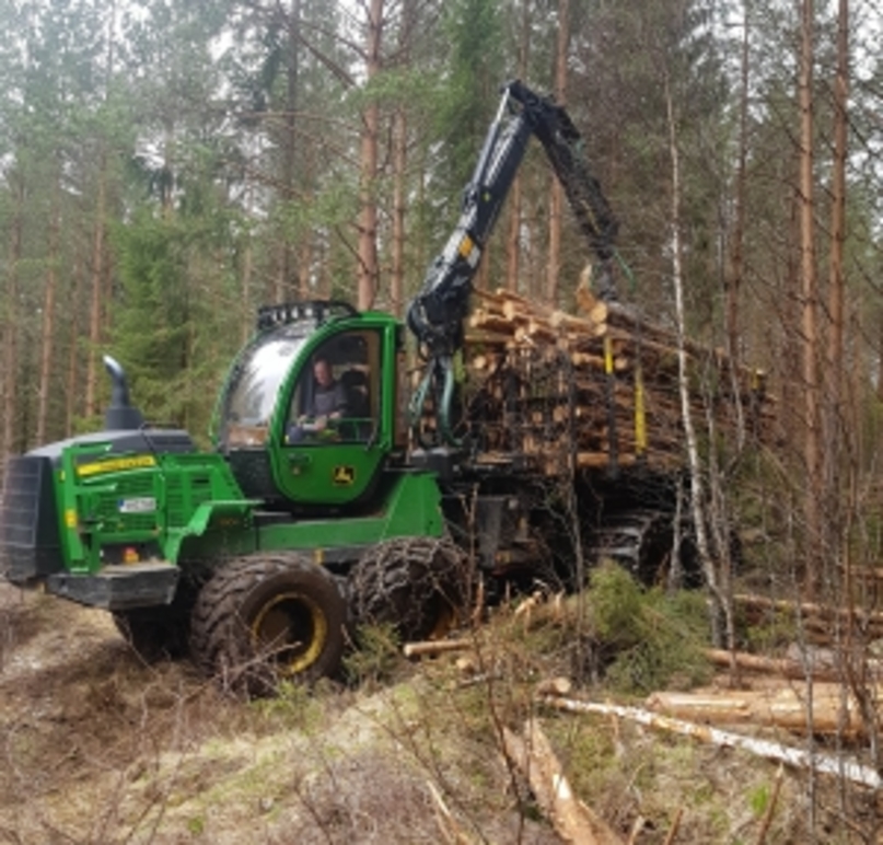 N-O Erikssons Skogsbruk AB Trädfällning, trädvård, Karlskoga - 8