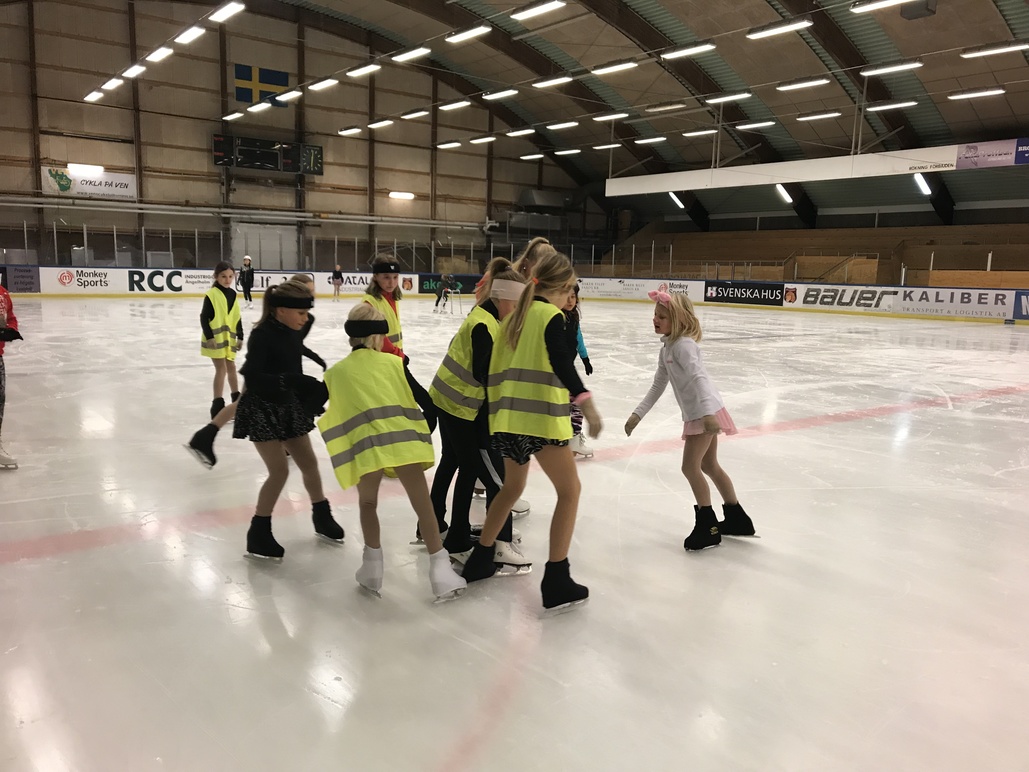 Landskrona Konståkning & Sportklubb Idrottsorganisation, Landskrona - 5