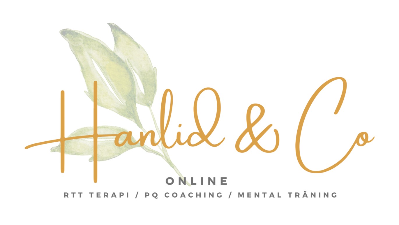 Hanlid & Co AB Coachning, mentorskap, Gotland - 1