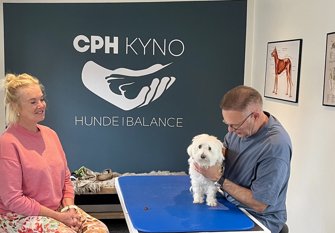 Cph KYNO - Hunde i Balance Hundemassage, Høje-Taastrup - 5