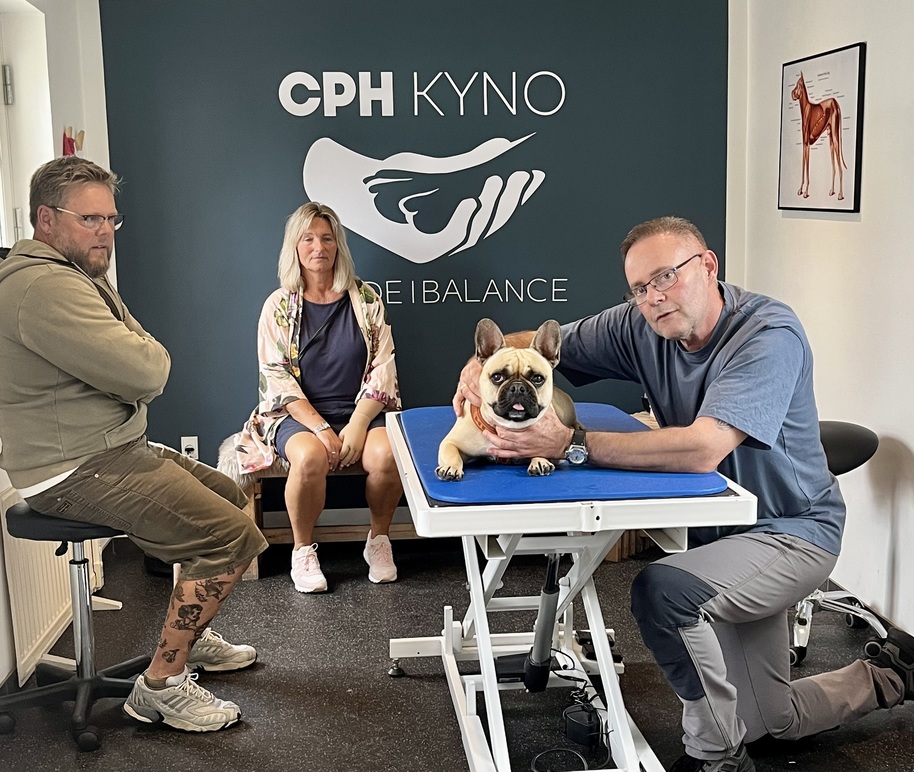 Cph KYNO - Hunde i Balance Hundemassage, Høje-Taastrup - 4