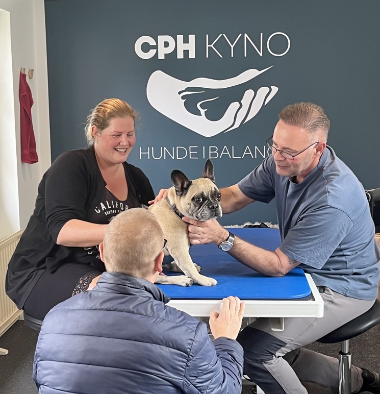 Cph KYNO - Hunde i Balance Hundemassage, Høje-Taastrup - 3