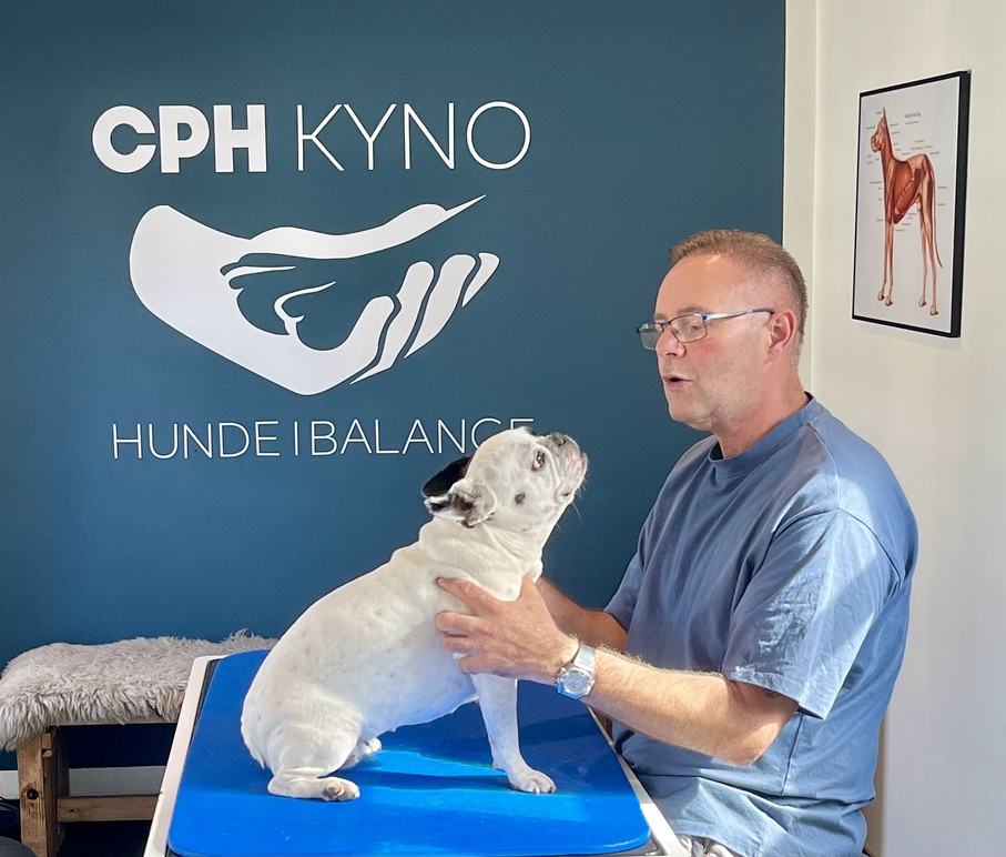 Cph KYNO - Hunde i Balance Hundemassage, Høje-Taastrup - 1