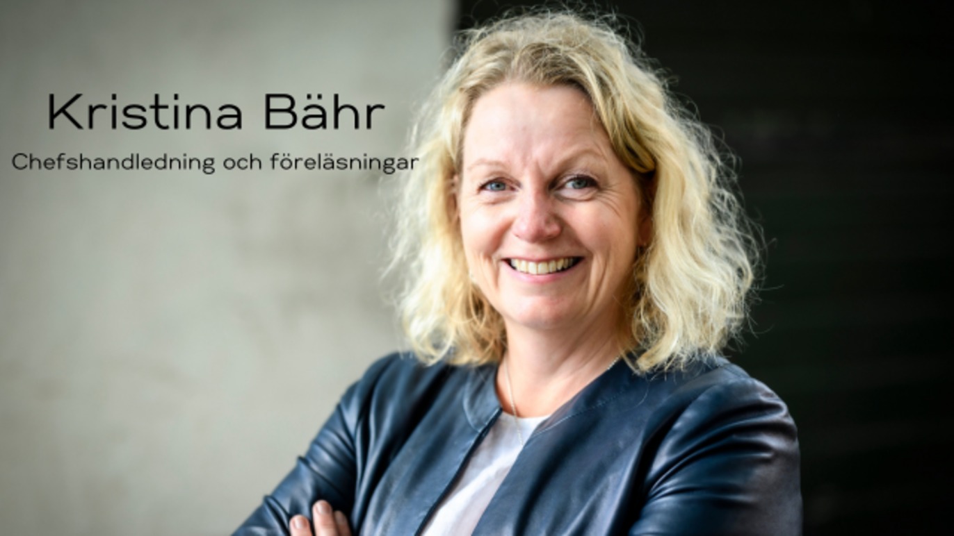 Exist Nu AB - Kristina Bähr Organisationskonsult, Linköping - 1