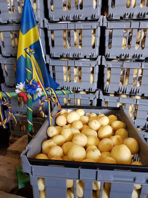 Gränsbo Potatis AB Frukt, grönsaker, potatis - Odlare, grossist, Vellinge - 1