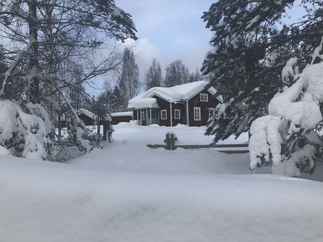Pålsbruket Åbo Delsbo Skogstjänster, Hudiksvall - 25