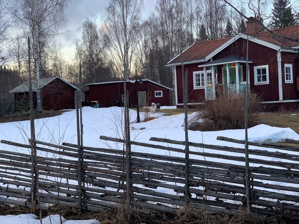 Pålsbruket Åbo Delsbo Skogstjänster, Hudiksvall - 14
