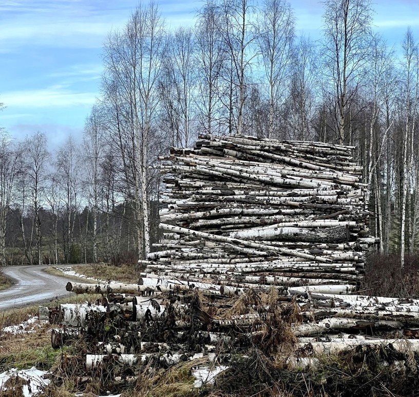 Röda och Vita husen Skogstjänster, Hudiksvall - 8