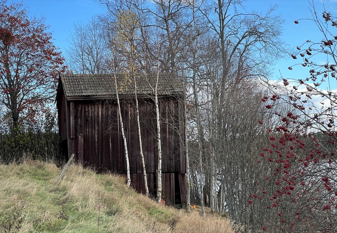 Röda och Vita husen Skogstjänster, Hudiksvall - 3
