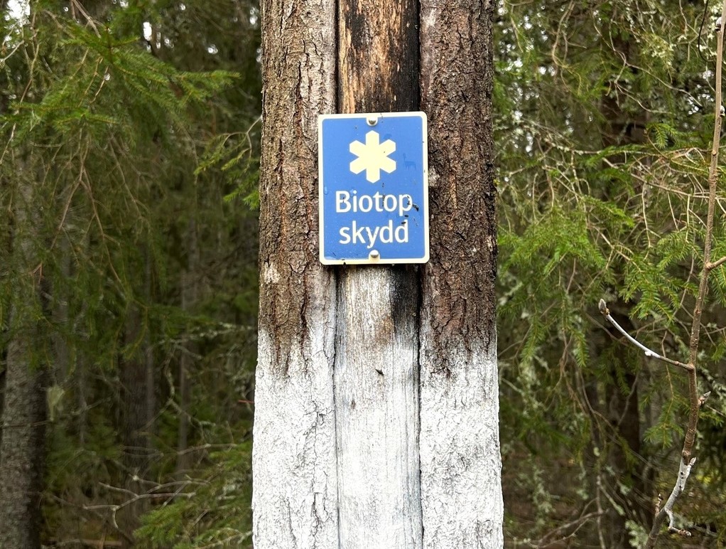 Pålsbruket Åbo Delsbo Skogstjänster, Hudiksvall - 5