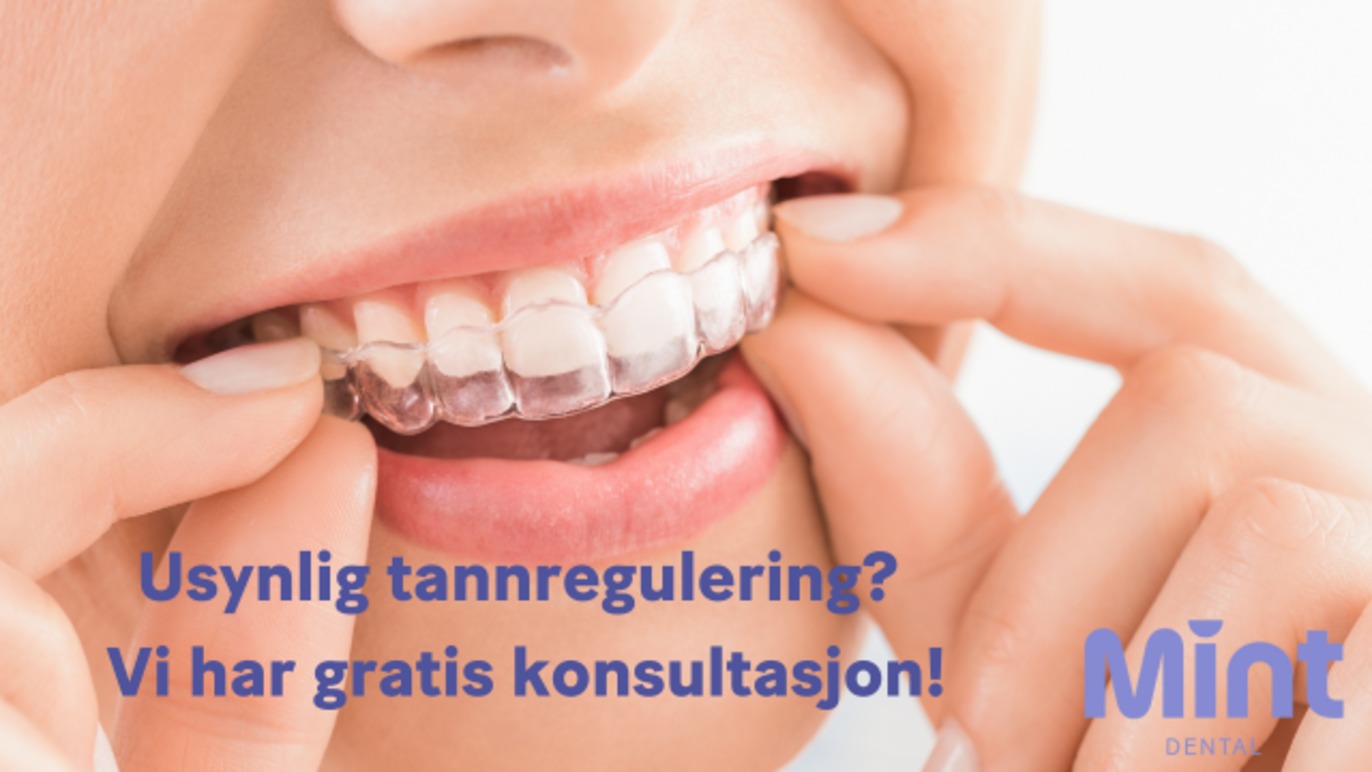 Mint Dental Bjølsen Allmenn Tannlege, Oslo - 5