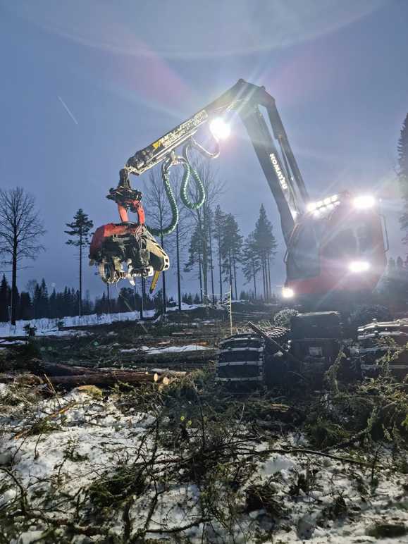 Västansjö Skogstjänst AB Trädfällning, trädvård, Nordmaling - 4