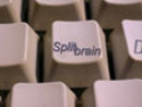 Splitbrain Production