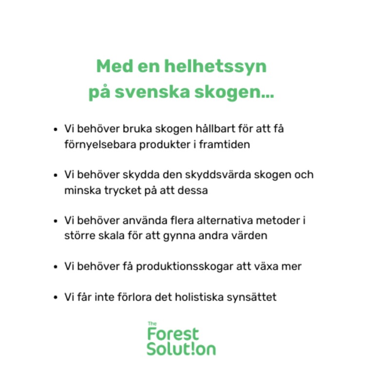The Forest Solution Miljökonsult, Falun - 1