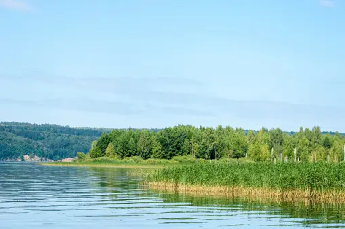 Vattenmiljö I Värmland AB Miljökonsult, Karlstad - 1