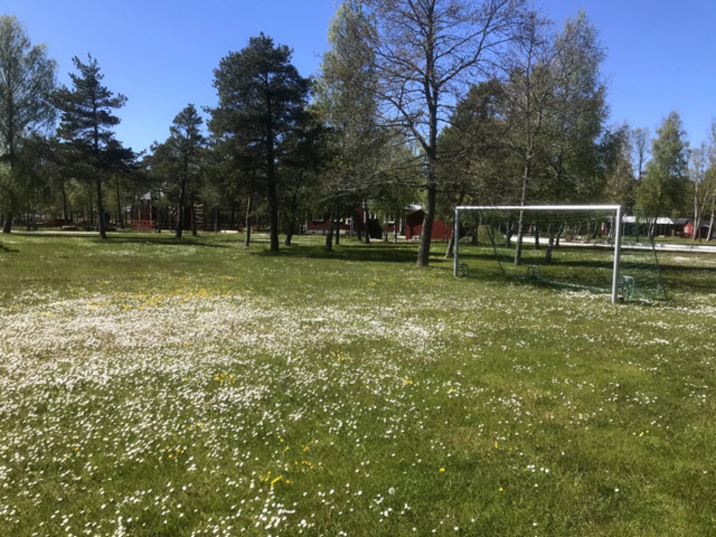 Snäckan Stugförmedling, Gotland - 27