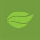 Splendor Plant AB