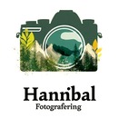 Blikfang Fotografering