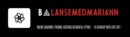 Balansemedmariann Larsen