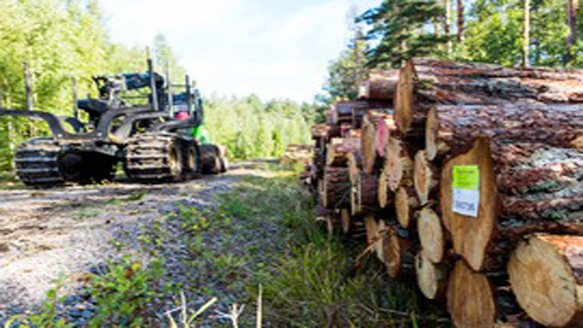 Skogssällskapet Skogstjänster, Växjö - 2