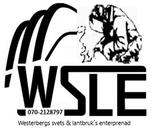 WSLE logo
