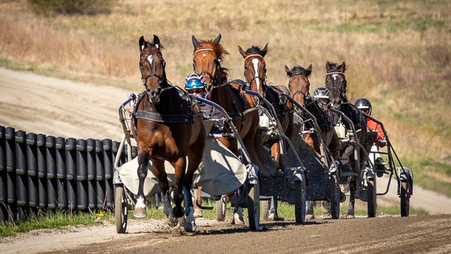 Julmyra Horse Center AB Travsport, Heby - 8