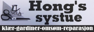 Hong's Systue logo