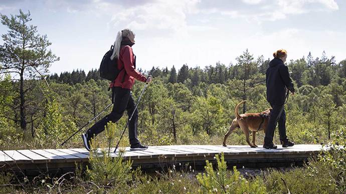 Team Sportia Ystad Foretaget Eniro Se