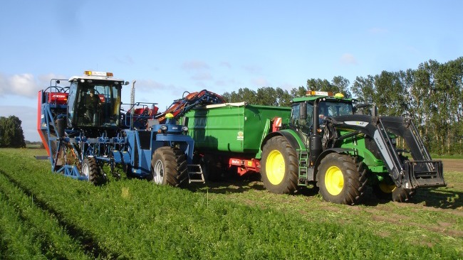 Nyskördade Morötter I Fjälkinge AB Frukt, grönsaker, potatis - Odlare, grossist, Kristianstad - 1