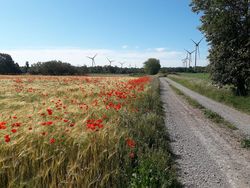 Stromavbrott Kalmar Lan Foretag Eniro Se