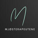 Mjøsterapeutene ANS logo