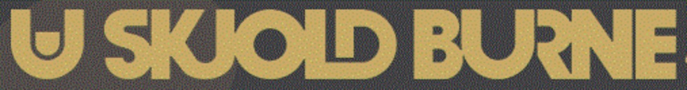 Skjold Burne Vinhandel logo