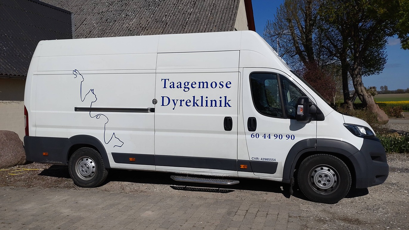Taagemose Dyreklinik v. Dyrlæge Pouline Grosbøl Dyrlæge, Faxe - 5