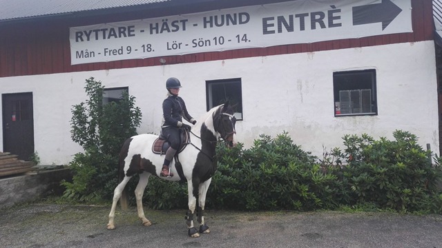 Ingvallstorp Häst och Fritid Hästsport, utrustning, Flen - 2