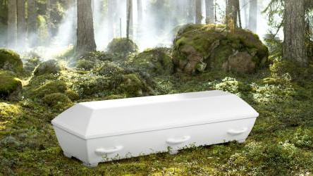 Fryksdalens Begravningsbyrå Begravningsbyrå - 1