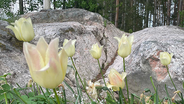 Kulla Hage Trädgård & Design Trädgårdsmästare, Lidköping - 2