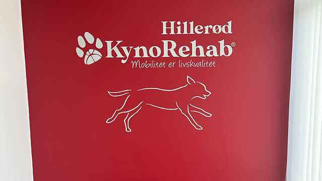 Kynorehab Hillerød Dyrlæge, Hillerød - 4
